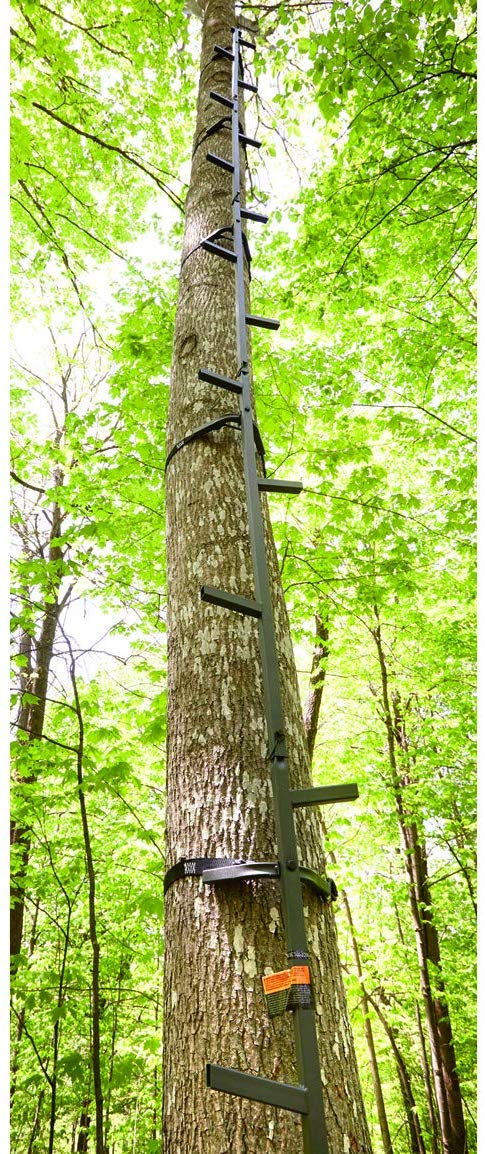 Guide Gear 20’ Climbing Sticks