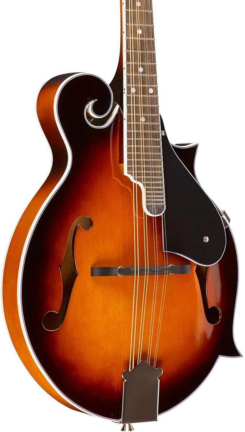 Best Mandolin [2020] Top Rated Mandolins for Professionals [Reviews]