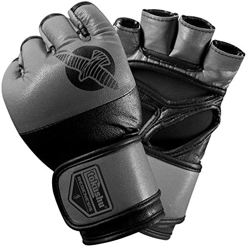 Hayabusa Regenesis