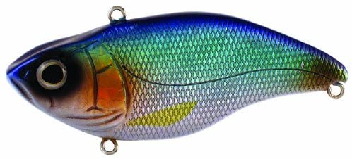 Spro Aruku Shad 75 Bait-pack of 1