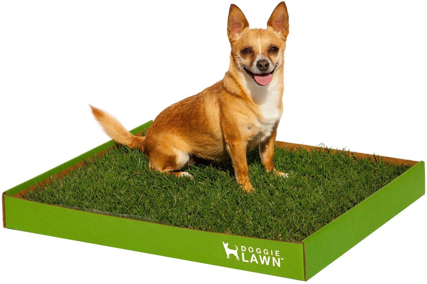 Doggielawn Real Grass Dog Potty (Disposable).