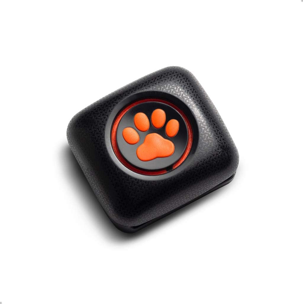 Pitpat 2 Dog Activity Monitor Review