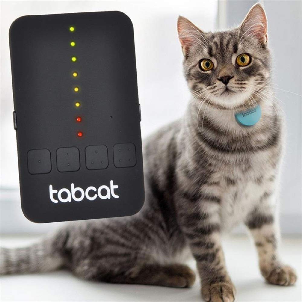 Tabcat Cat Collar Tracker Review.