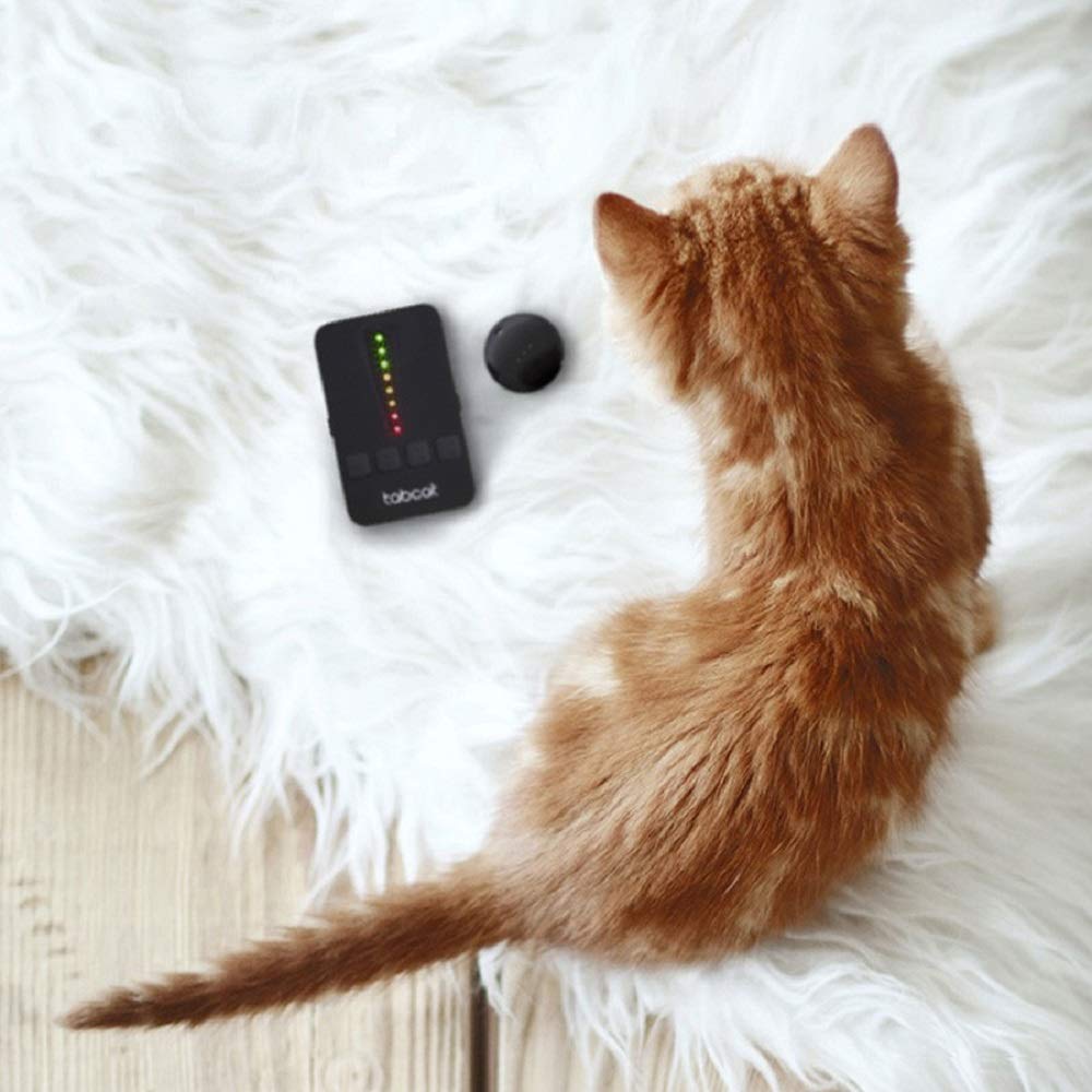 Tabcat Cat Collar Tracker Review.