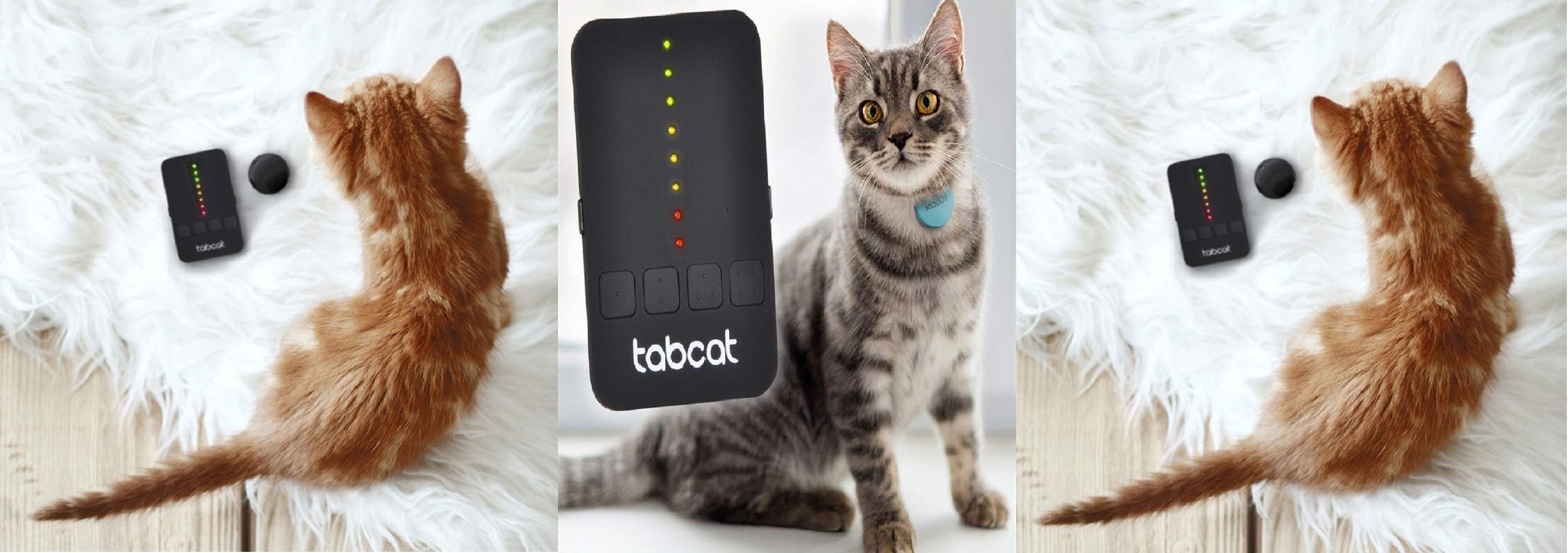 Tabcat Cat Collar Tracker Review [2023] Price, Features, Buy & Reviews