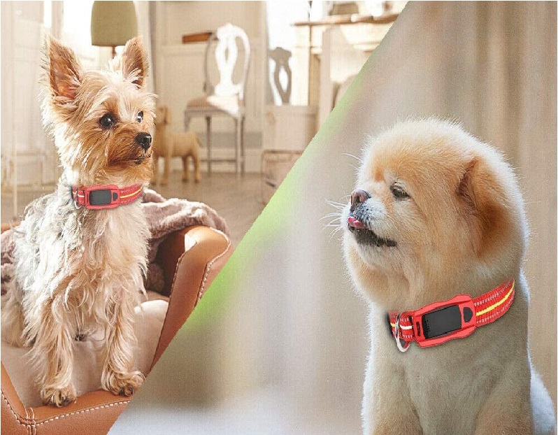 Zeerkeer Pet Gps Tracker Review