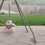 Best Baby Jumper