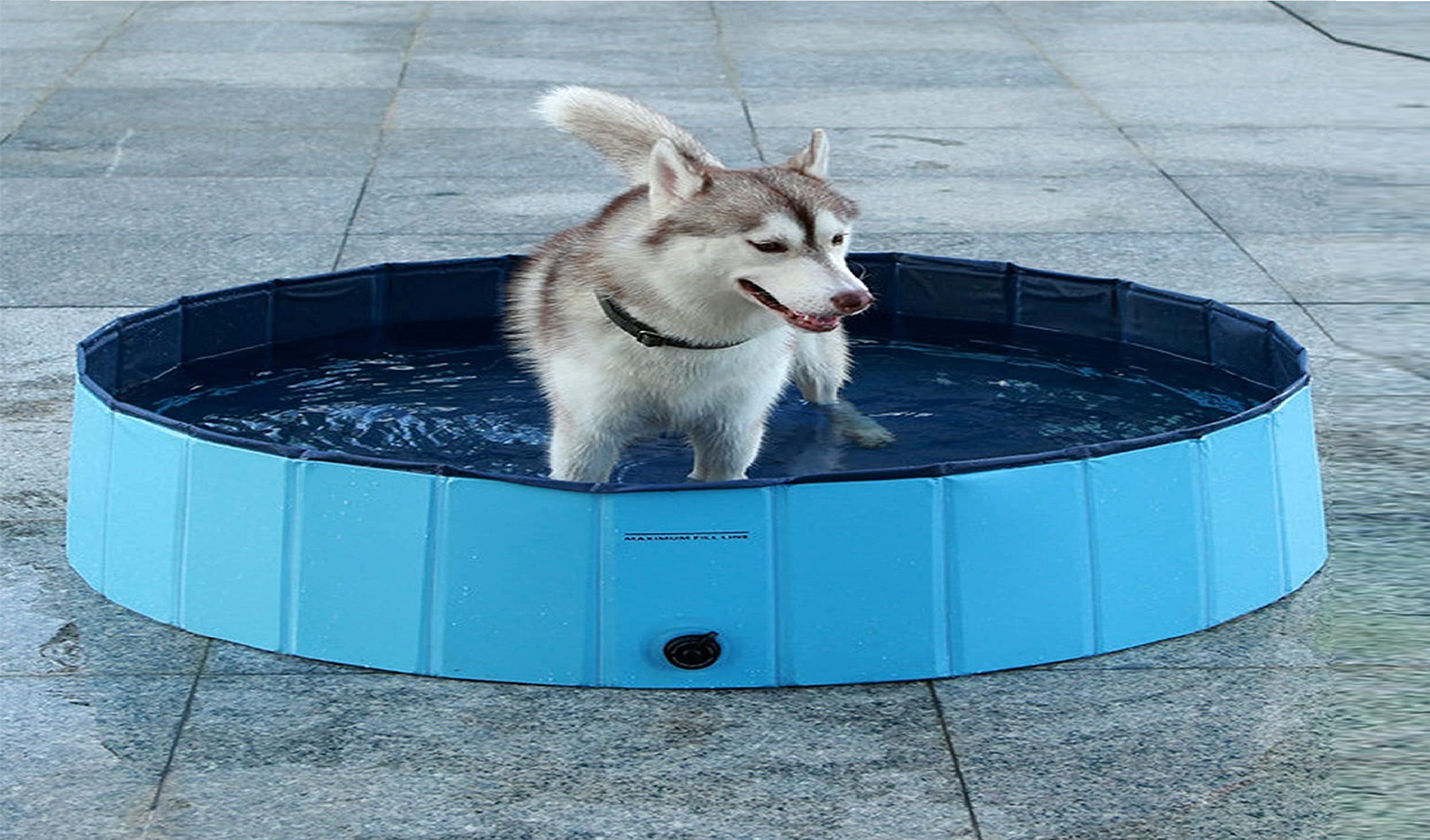 Best Outdoor Dog Bath