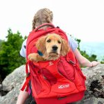 Best Dog Backpack Carrier
