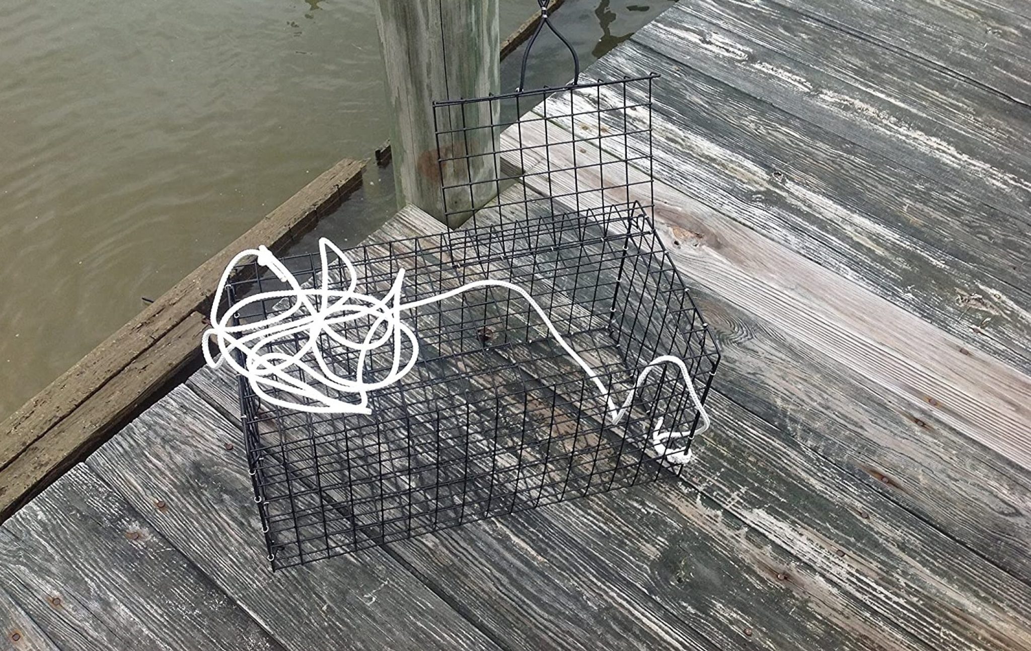 Best Blue Crab Traps [2022] Top Casting Pot fro Blue Crabs [Review]