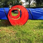 Best Crawling Tunnels for Toddlers