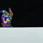 Best Dog Car Stickers(Decals)