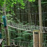 Best Climbing Sticks