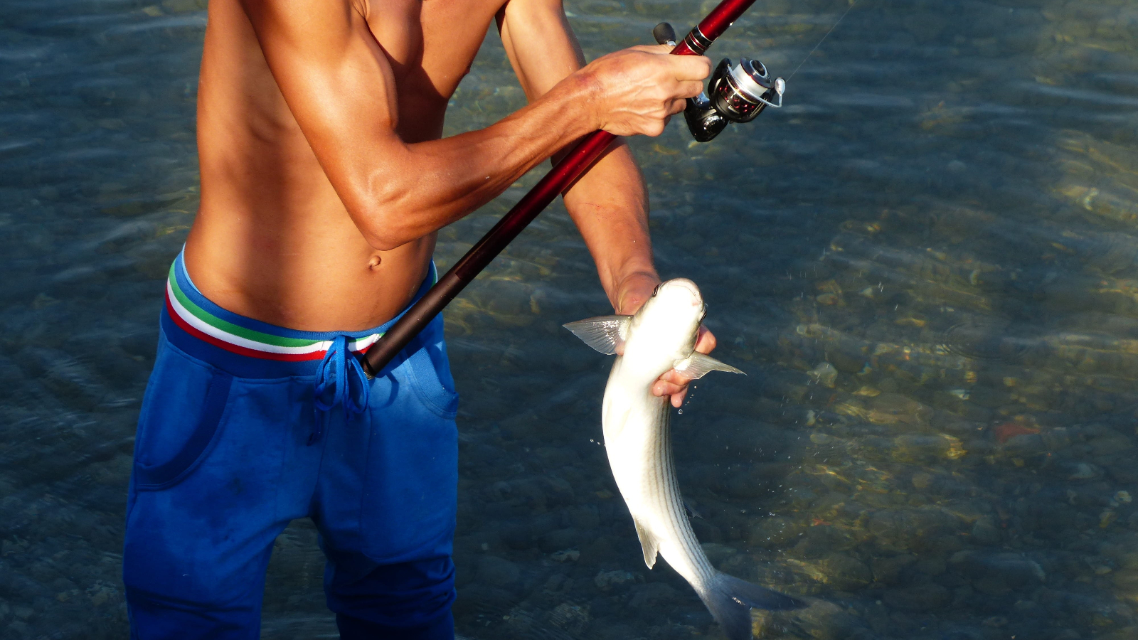 Best Lipless Crankbait