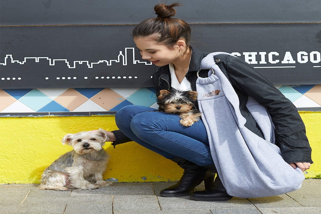 Best Dog Carrier Sling