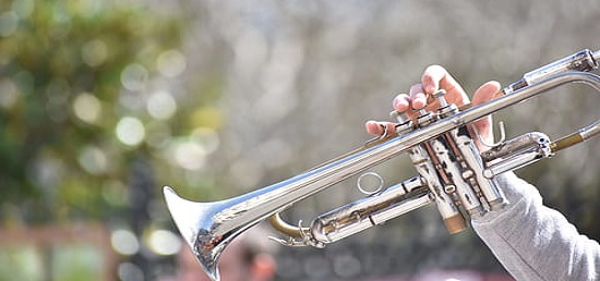 Best Toy French Horn for Kids