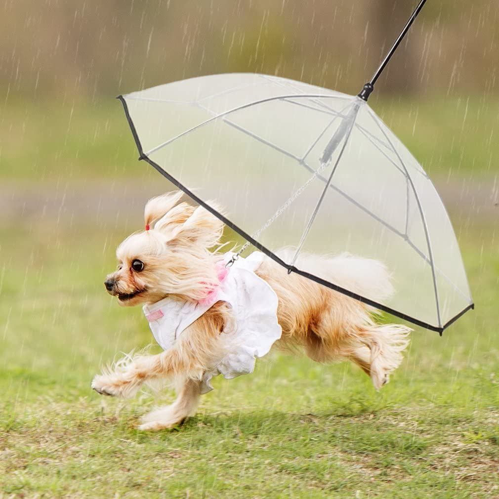 Pet Dog Umbrella With Leash for Small Dogs