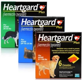 Heart-Guard Plus Heart-Guard Plus