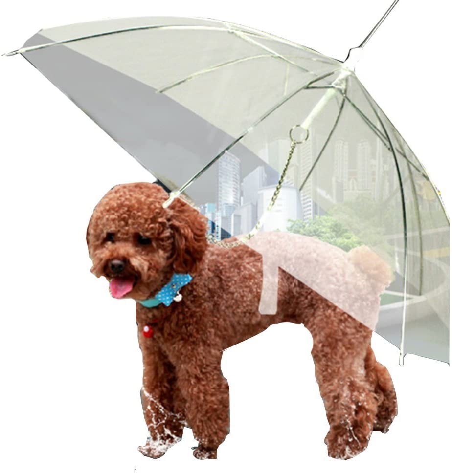 Moore Transparent Umbrella With Built-in Leash Pet Dog Puppy Dry Comfortable in Rain