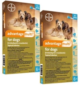 Advantage Multi Advantage Multi