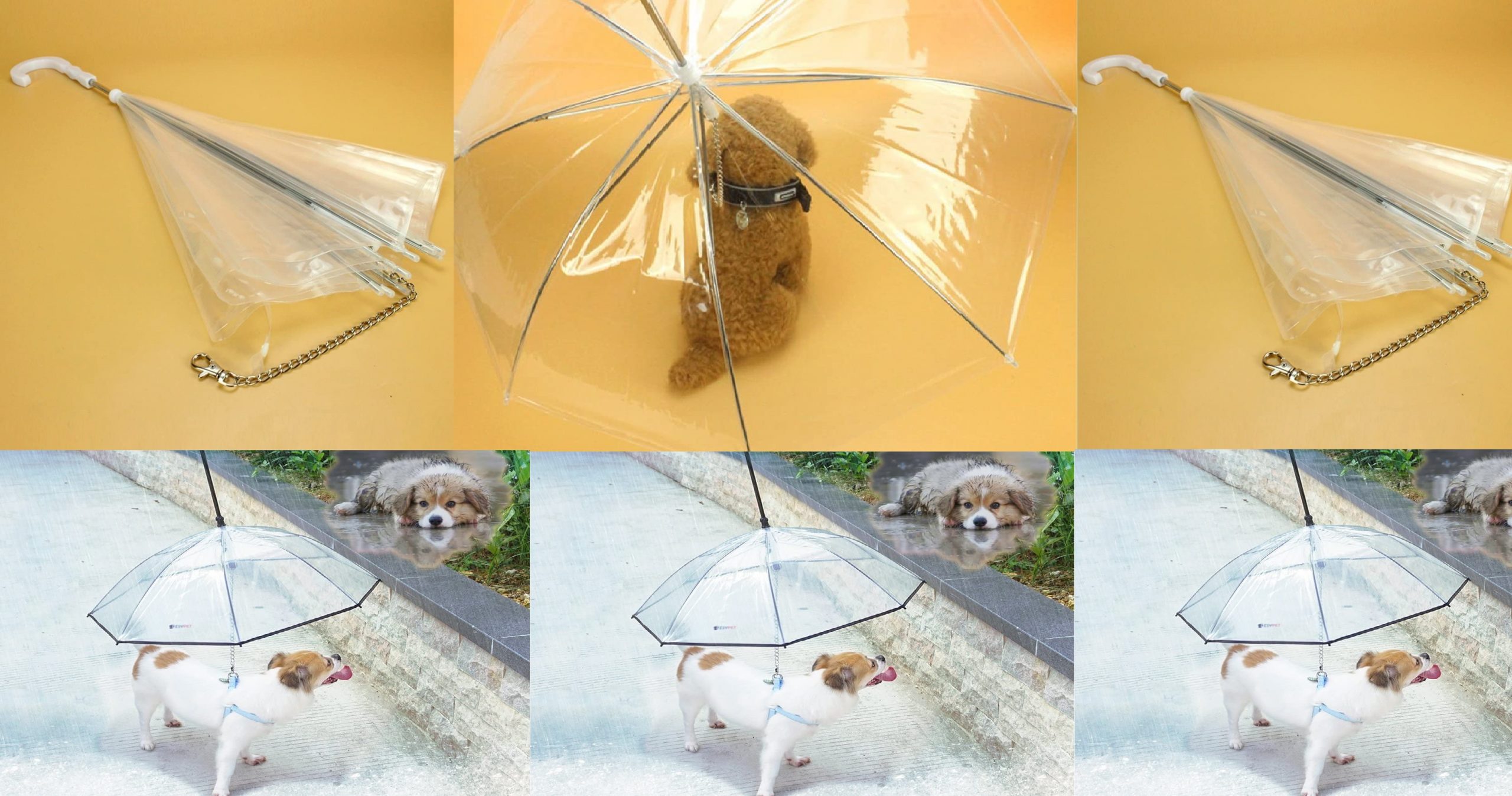 Best Dog Leash Umbrella Review