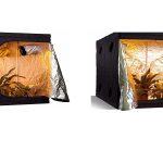 Best 8x8 Grow Tent