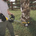 Best Electric Weed Eater