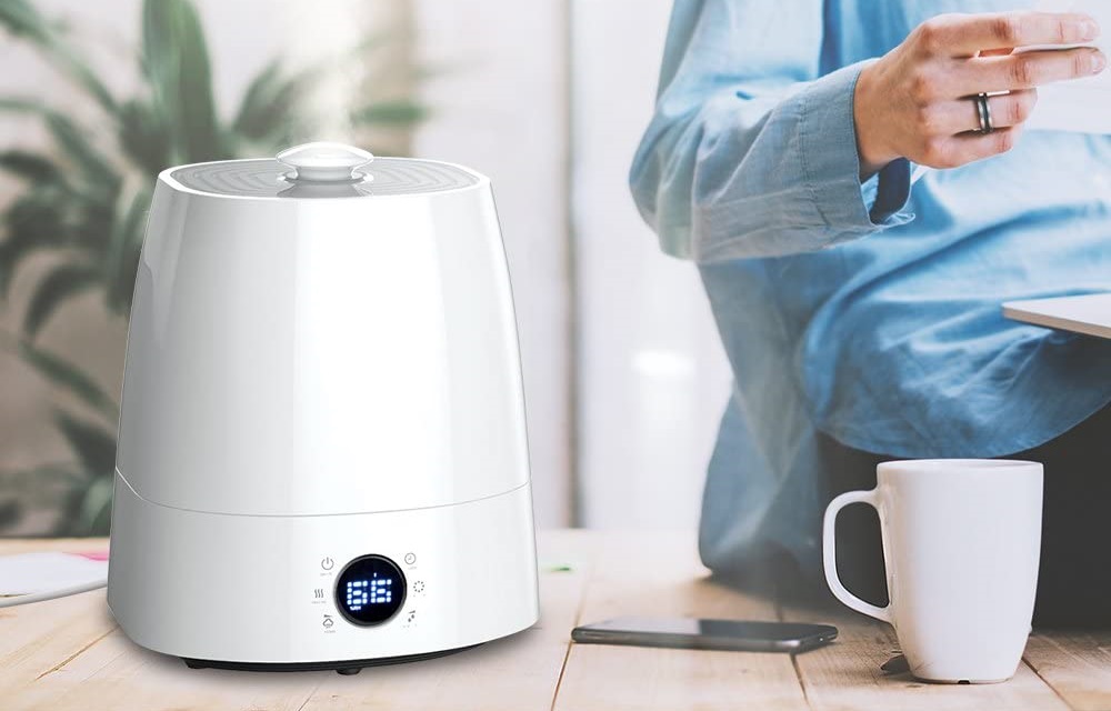 Best Humidifier for Dry Skin [2022] Top Dry Skin Humidifiers [Reviews]