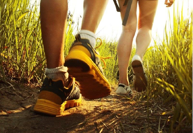 Best Insoles for Heel Pain