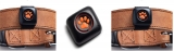 Pitpat 2 Dog Activity Monitor