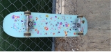 Best Skateboard for Beginners