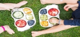 Best Suction Plates for Toddlers