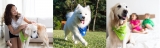 Dott Smart Dog Tag Review