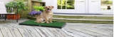 Best Outdoor Dog Toilet