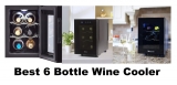 Best 6 Bottle Wine Cooler Fridge