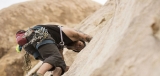 Best Climbing Harness