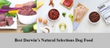Best Darwin’s Natural Selections Dog Food