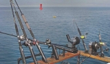Best Downrigger Weights