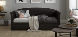 Best Pull Out Sofa Bed