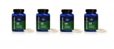 Growth Factor Plus