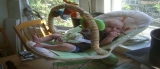 Best Baby Bouncer