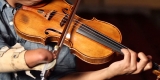 Best Carbon Fiber Violin Bow