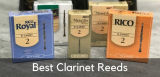 Best Clarinet Reeds