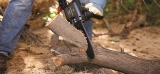 Best Electric Chainsaw